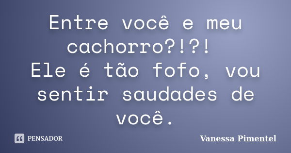 Entre você e meu cachorro?!?! Ele é tão fofo, vou sentir saudades de você.... Frase de Vanessa Pimentel.