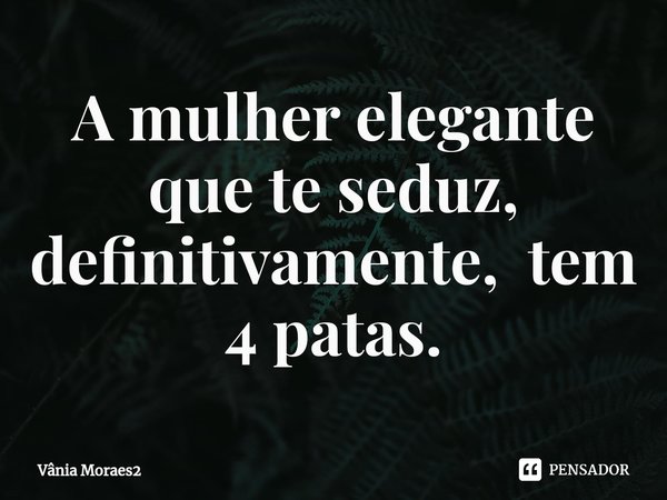 ⁠A mulher elegante que te seduz,
definitivamente, tem 4 patas.... Frase de Vânia Moraes2.