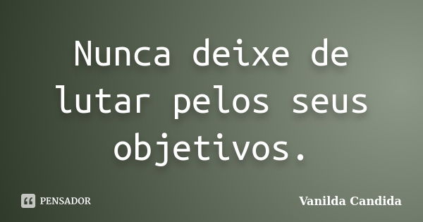 Nunca deixe de lutar pelos seus objetivos.... Frase de Vanilda Candida.