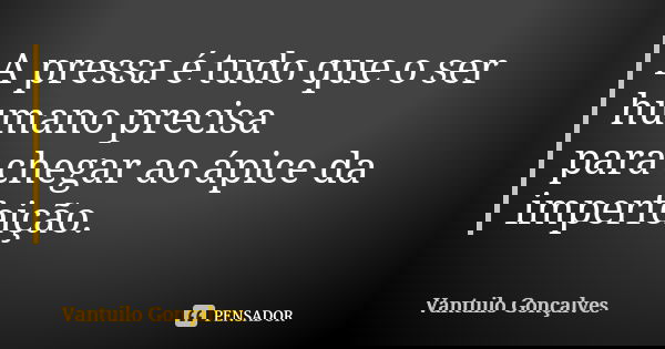 A pressa é tudo que o ser humano precisa para chegar ao ápice da imperfeição.... Frase de Vantuilo Gonçalves.