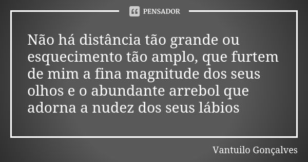 Não há distância tão grande ou esquecimento tão amplo, que furtem de mim a fina magnitude dos seus olhos e o abundante arrebol que adorna a nudez dos seus lábio... Frase de Vantuilo Gonçalves.