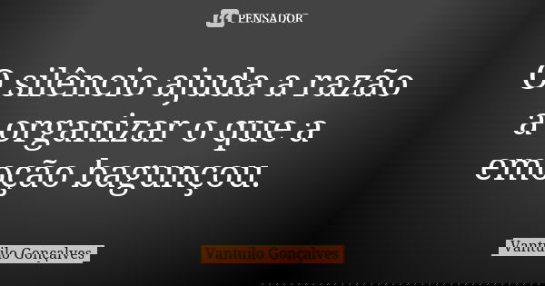 O silêncio ajuda a razão a organizar o que a emoção bagunçou.... Frase de Vantuilo Gonçalves.
