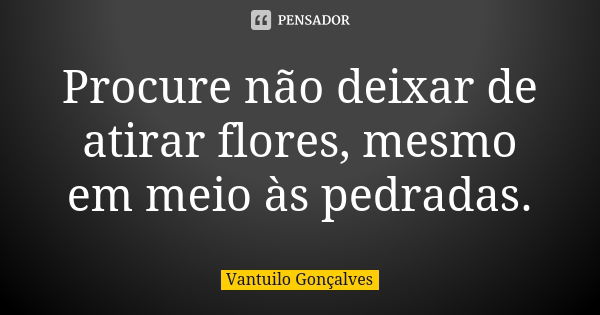 Procure não deixar de atirar flores, mesmo em meio às pedradas.... Frase de Vantuilo Gonçalves.