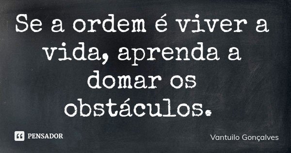 Se a ordem é viver a vida, aprenda a domar os obstáculos.... Frase de Vantuilo Gonçalves.