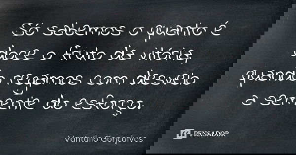 Só sabemos o quanto é doce o fruto da vitória, quando regamos com desvelo a semente do esforço.... Frase de Vantuilo Gonçalves.