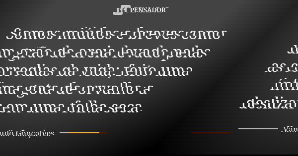 Somos miúdos e breves como um grão de areia levado pelas as corredias da vida; feito uma ínfima gota de orvalho a deslizar em uma folha seca.... Frase de Vantuilo Gonçalves.