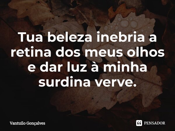⁠Tua beleza inebria a retina dos meus olhos e dar luz à minha surdina verve.... Frase de Vantuilo Gonçalves.