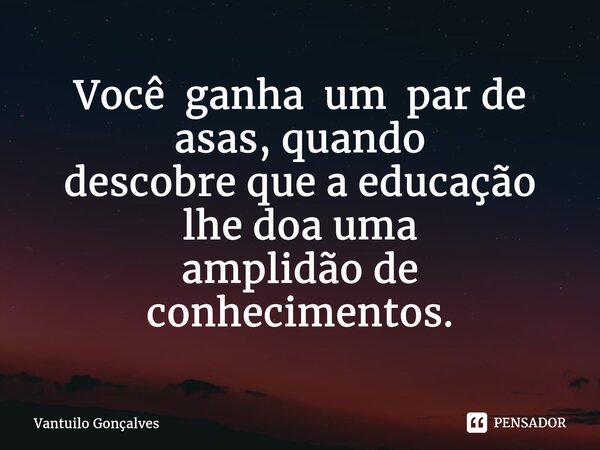 ⁠Você ganha um par de asas, quando descobre que a educação lhe doa uma amplidão de conhecimentos.... Frase de Vantuilo Gonçalves.