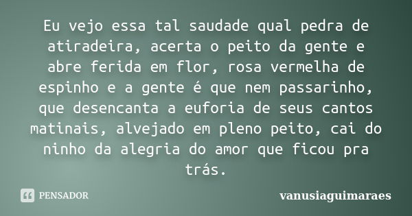 Eu vejo essa tal saudade qual pedra de atiradeira, acerta o peito da gente e abre ferida em flor, rosa vermelha de espinho e a gente é que nem passarinho, que d... Frase de vanusiaguimaraes.