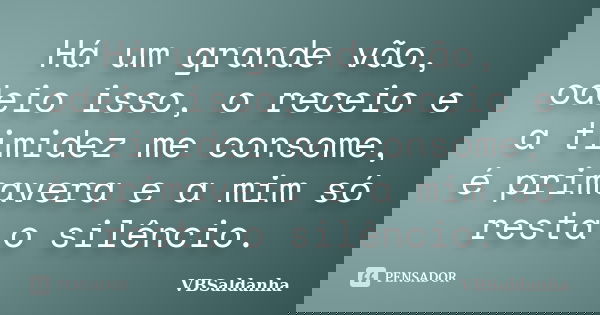 Há um grande vão, odeio isso, o receio e a timidez me consome, é primavera e a mim só resta o silêncio.... Frase de VBSaldanha.