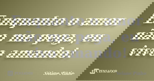 Enquanto o amor não me pega, eu vivo amando!... Frase de Velane Pinho.