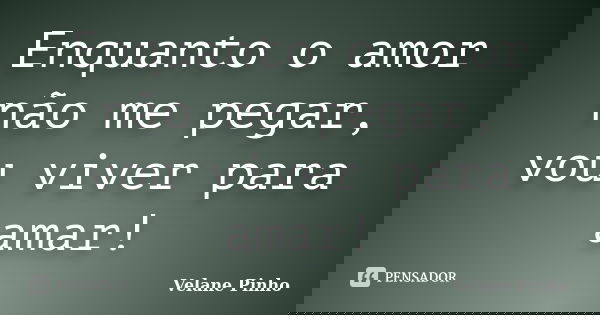 Enquanto o amor não me pegar, vou viver para amar!... Frase de Velane Pinho.