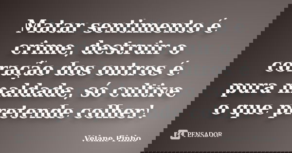 Matar sentimento é crime, destruir o coração dos outros é pura maldade, só cultive o que pretende colher!... Frase de Velane Pinho.