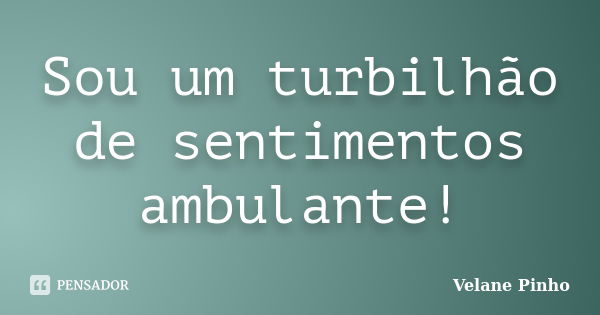 Sou um turbilhão de sentimentos ambulante!... Frase de Velane Pinho.