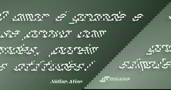 O amor é grande e se prova com grandes, porém simples atitudes!... Frase de Velton Alves.