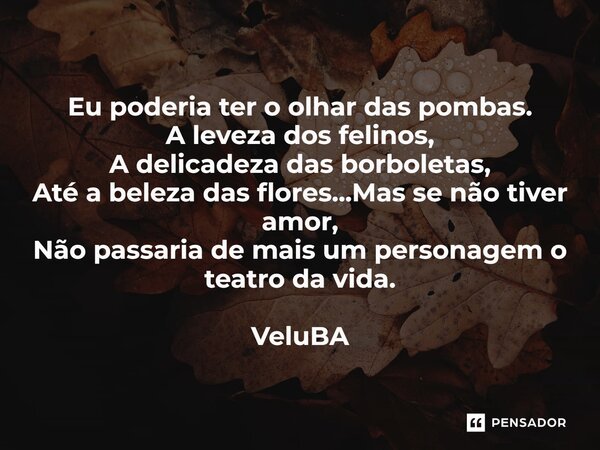 ⁠Eu poderia ter o olhar das pombas. A leveza dos felinos, A delicadeza das borboletas, Até a beleza das flores...Mas se não tiver amor, Não passaria de mais um ... Frase de VeluBA.