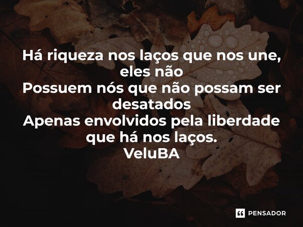 ⁠Há riqueza nos laços que nos une, eles não Possuem nós que não possam ser desatados Apenas envolvidos pela liberdade que há nos laços.... Frase de VeluBA.