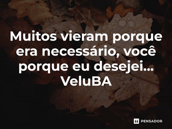 ⁠Muitos vieram porque era necessário, você porque eu desejei...... Frase de VeluBA.