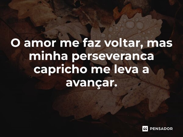 ⁠O amor me faz voltar, mas minha perseverança capricho me leva a avançar.... Frase de VeluBA.