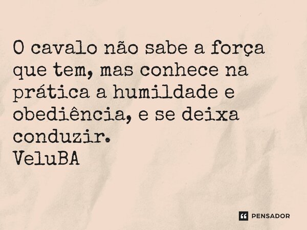 ⁠O cavalo não sabe a força que tem, mas conhece na prática a humildade e obediência, e se deixa conduzir.... Frase de VeluBA.