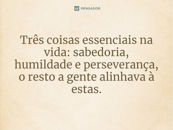 ⁠Três coisas essenciais na vida: sabedoria, humildade e perseverança, o resto a gente alinhava à estas.... Frase de VeluBA.