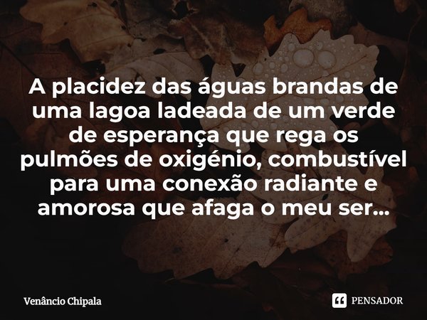 ⁠A placidez das águas brandas de uma lagoa ladeada de um verde de esperança que rega os pulmões de oxigénio, combustível para uma conexão radiante e amorosa que... Frase de Venâncio Chipala.