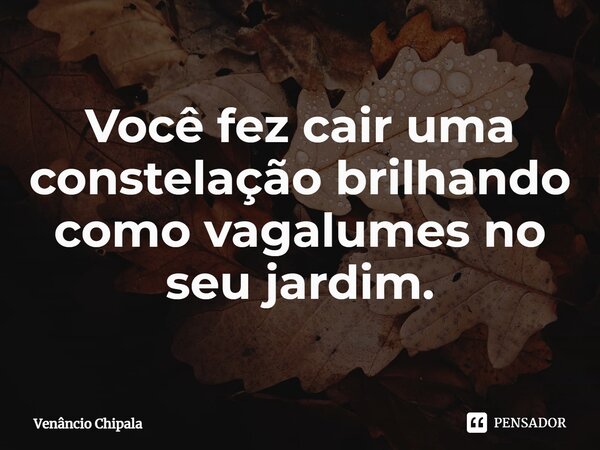 ⁠Você fez cair uma constelação brilhando como vagalumes no seu jardim.... Frase de Venâncio Chipala.