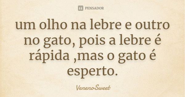 um olho na lebre e outro no gato, pois a lebre é rápida ,mas o gato é esperto.... Frase de VenenoSweet.