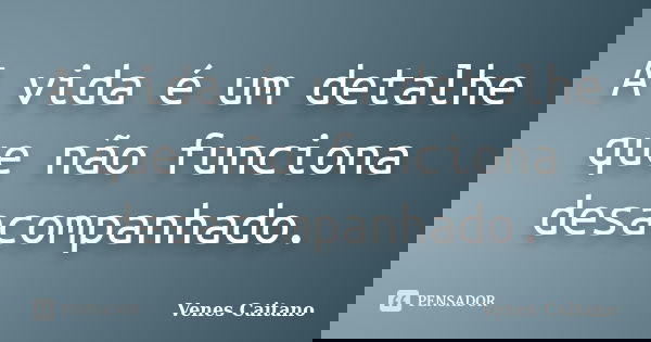 A vida é um detalhe que não funciona desacompanhado.... Frase de Venes Caitano.