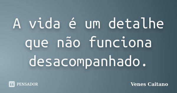 A vida é um detalhe que não funciona desacompanhado.... Frase de Venes Caitano.