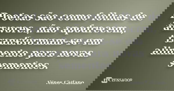 Poetas são como folhas de árvores, não apodrecem, transformam-se em alimento para novas sementes.... Frase de Venes Caitano.