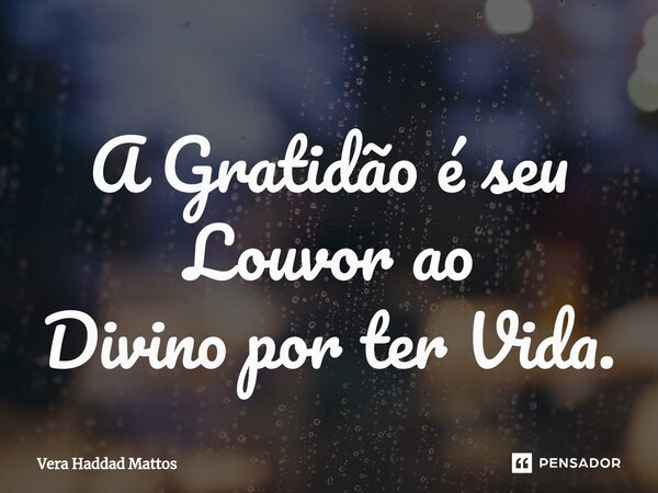 ⁠A Gratidão é seu Louvor ao Divino por ter Vida.... Frase de Vera Haddad Mattos.