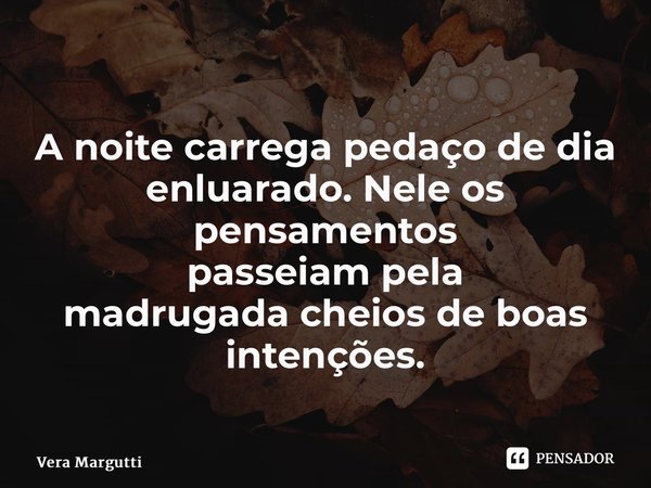 ⁠ A noite carrega pedaço de dia enluarado. Neleos pensamentos passeiam pela madrugadacheios de boas intenções.... Frase de Vera Margutti.