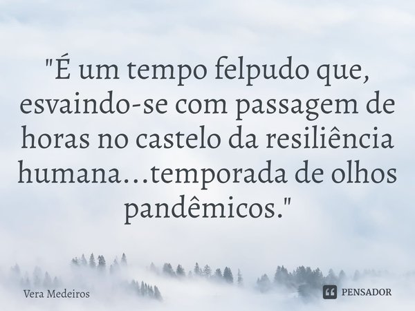 ⁠"É um tempo felpudo que, esvaindo-se com passagem de horas no castelo da resiliência humana...temporada de olhos pandêmicos."... Frase de Vera Medeiros.