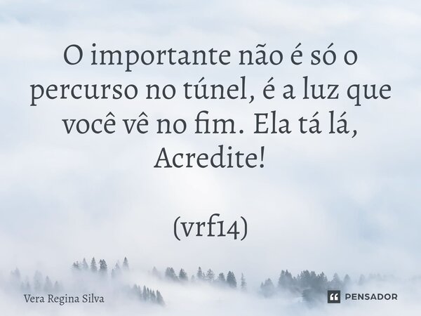 ⁠O importante não é só o percurso no túnel, é a luz que você vê no fim. Ela tá lá, Acredite! (vrf14)... Frase de Vera Regina Silva.