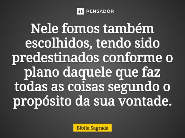 Nele fomos também escolhidos, tendo sido predestinados conforme o plano daquele que faz todas as coisas segundo o propósito da sua vontade.... Frase de Bíblia Sagrada.