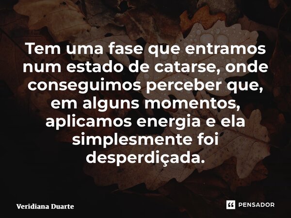 ⁠Tem uma fase que entramos num estado de catarse, onde conseguimos perceber que, em alguns momentos, aplicamos energia e ela simplesmente foi desperdiçada.... Frase de Veridiana Duarte.