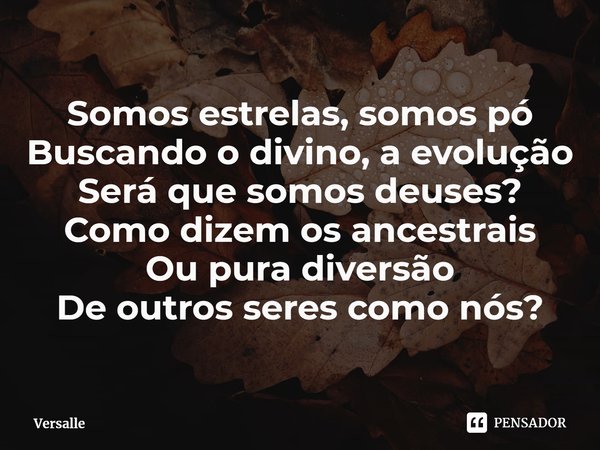 ⁠Somos estrelas, somos pó
Buscando o divino, a evolução
Será que somos deuses?
Como dizem os ancestrais
Ou pura diversão
De outros seres como nós?... Frase de Versalle.