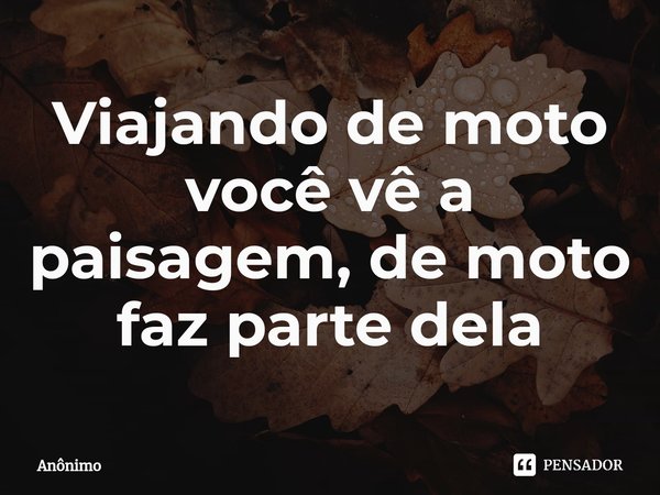 Viajando de moto você vê a paisagem, de moto faz parte dela⁠... Frase de Anônimo.