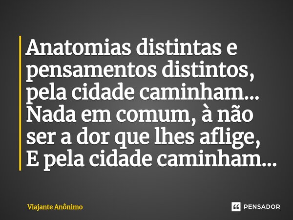 Anatomias distintas e pensamentos distintos, pela cidade caminham⁠... Nada em comum, à não ser a dor que lhes aflige, E pela cidade caminham...... Frase de Viajante Anônimo.