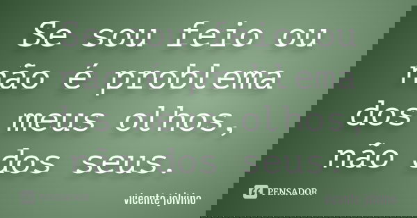 Se sou feio ou não é problema dos meus olhos, não dos seus.... Frase de Vicente Jolvino.