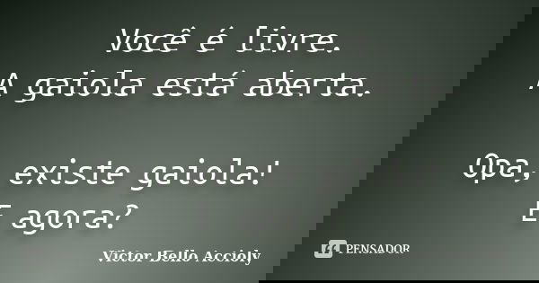 Você é livre. A gaiola está aberta. Opa, existe gaiola! E agora?... Frase de Victor Bello Accioly.
