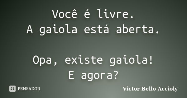 Você é livre. A gaiola está aberta. Opa, existe gaiola! E agora?... Frase de Victor Bello Accioly.