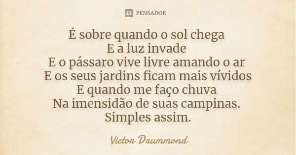 É sobre quando o sol chega E a luz invade E o pássaro vive livre amando o ar E os seus jardins ficam mais vívidos E quando me faço chuva Na imensidão de suas ca... Frase de Victor Drummond.