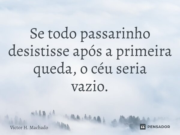 ⁠Se todo passarinho desistisse após a primeira queda, o céu seria vazio.... Frase de Victor H. Machado.