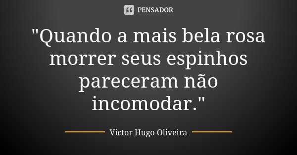 "Quando a mais bela rosa morrer seus espinhos pareceram não incomodar."... Frase de Victor Hugo Oliveira.