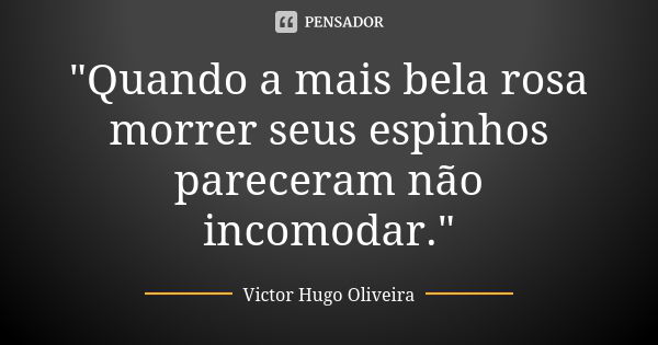 "Quando a mais bela rosa morrer seus espinhos pareceram não incomodar."... Frase de Victor Hugo Oliveira.