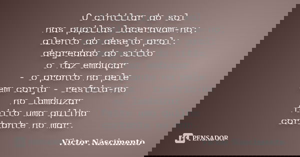 O cintilar do sol nas pupilas laceravam-no; alento do desejo prol: degredado do sítio o faz embuçar - o pranto na pele em corja - resfria-no no lambuzar feito u... Frase de Victor Nascimento.