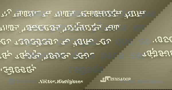 O amor e uma semente que uma pessoa planta em nosso coraçao e que so depende dela para ser regada... Frase de Victor Rodrigues.