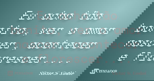 Eu acho tão bonito, ver o amor nascer, acontecer e florescer....... Frase de Victor S. Godoi.